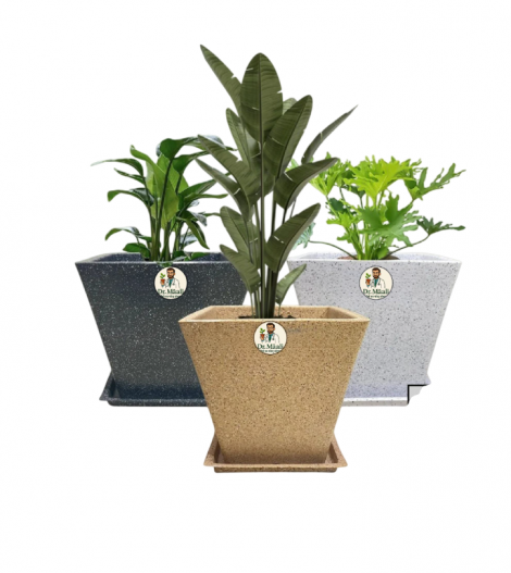 Plam Pots (Size 14 inc )