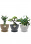 Floris Pots (18* inc)