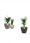 Terrano Pots (22*inc)